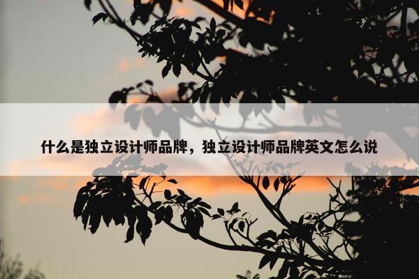 什么是独立设计师品牌，独立设计师品牌英文怎么说