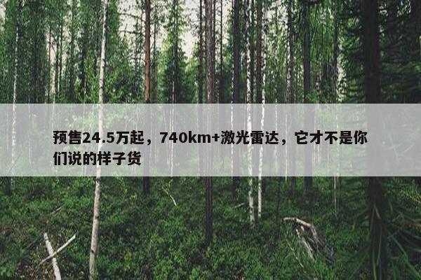 预售24.5万起，740km+激光雷达，它才不是你们说的样子货