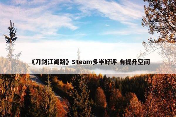 《刀剑江湖路》Steam多半好评 有提升空间