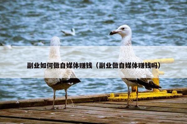 副业如何做自媒体赚钱（副业做自媒体赚钱吗）