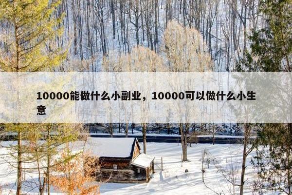 10000能做什么小副业，10000可以做什么小生意