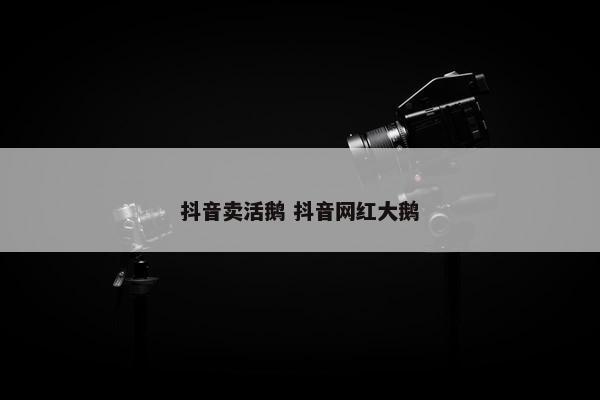 抖音卖活鹅 抖音网红大鹅