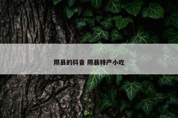 隰县的抖音 隰县特产小吃