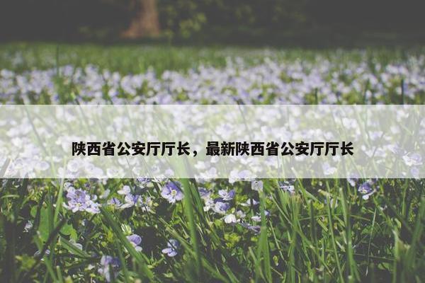 陕西省公安厅厅长，最新陕西省公安厅厅长