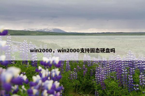 win2000，win2000支持固态硬盘吗