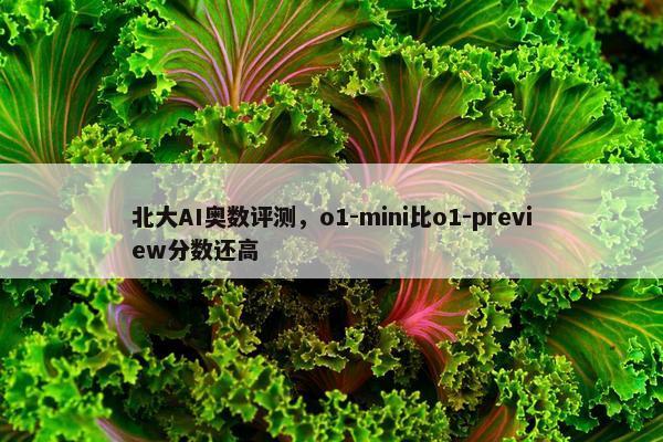 北大AI奥数评测，o1-mini比o1-preview分数还高