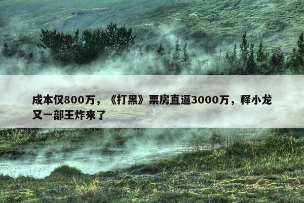 成本仅800万，《打黑》票房直逼3000万，释小龙又一部王炸来了