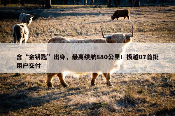 含“金钥匙”出身，最高续航880公里！极越07首批用户交付