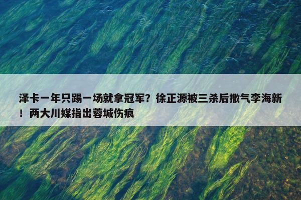 泽卡一年只踢一场就拿冠军？徐正源被三杀后撒气李海新！两大川媒指出蓉城伤痕