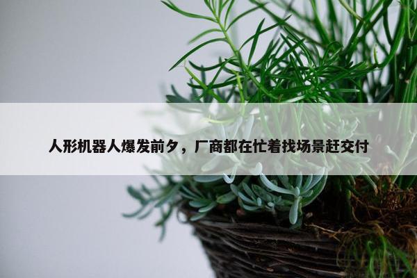 人形机器人爆发前夕，厂商都在忙着找场景赶交付