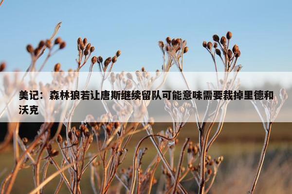 美记：森林狼若让唐斯继续留队可能意味需要裁掉里德和沃克