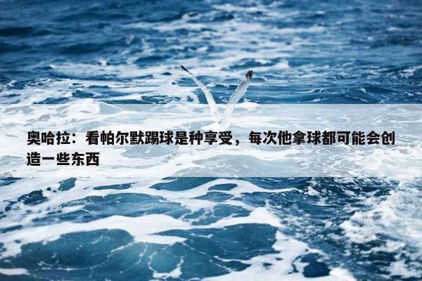 奥哈拉：看帕尔默踢球是种享受，每次他拿球都可能会创造一些东西