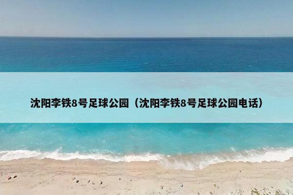 沈阳李铁8号足球公园（沈阳李铁8号足球公园电话）