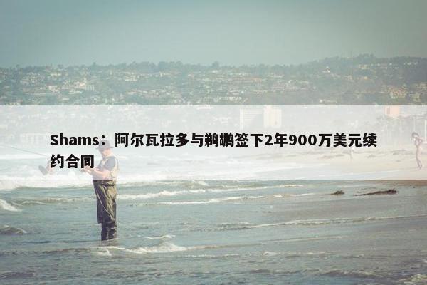 Shams：阿尔瓦拉多与鹈鹕签下2年900万美元续约合同