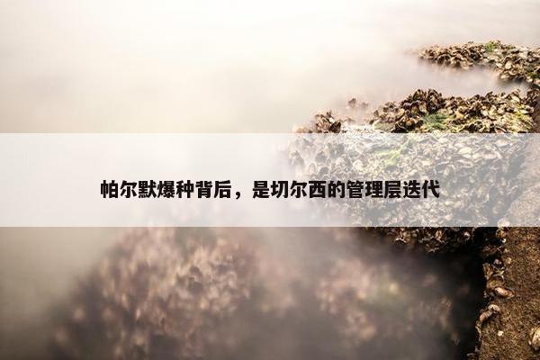 帕尔默爆种背后，是切尔西的管理层迭代