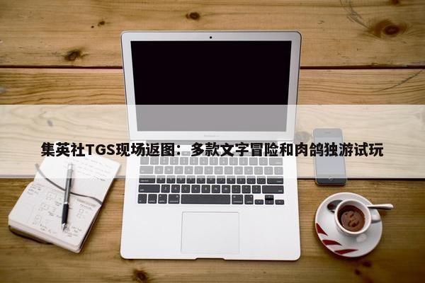 集英社TGS现场返图：多款文字冒险和肉鸽独游试玩