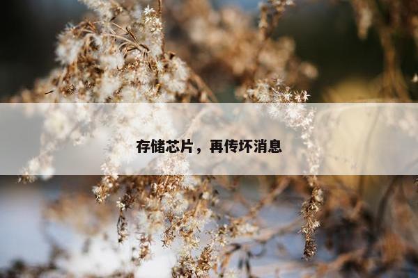 存储芯片，再传坏消息