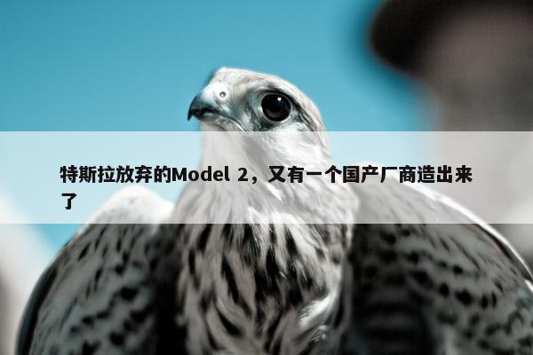 特斯拉放弃的Model 2，又有一个国产厂商造出来了