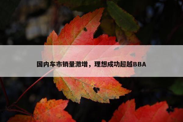 国内车市销量激增，理想成功超越BBA