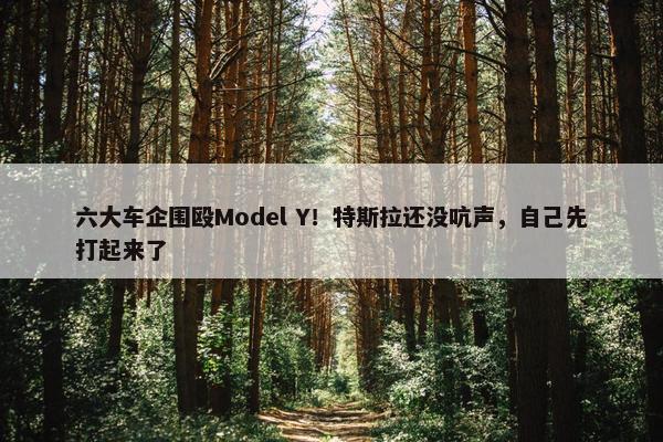 六大车企围殴Model Y！特斯拉还没吭声，自己先打起来了