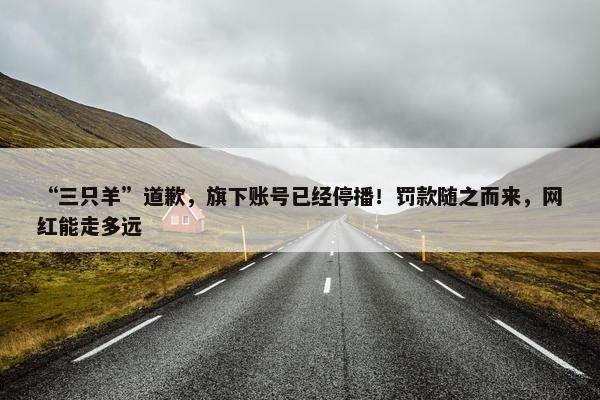 “三只羊”道歉，旗下账号已经停播！罚款随之而来，网红能走多远