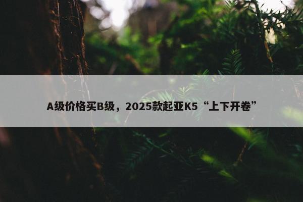 A级价格买B级，2025款起亚K5“上下开卷”