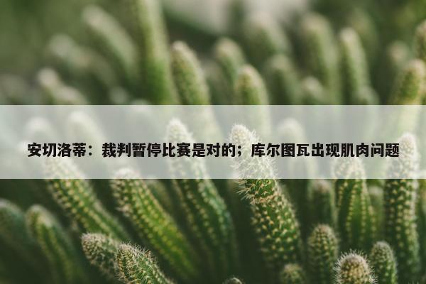 安切洛蒂：裁判暂停比赛是对的；库尔图瓦出现肌肉问题