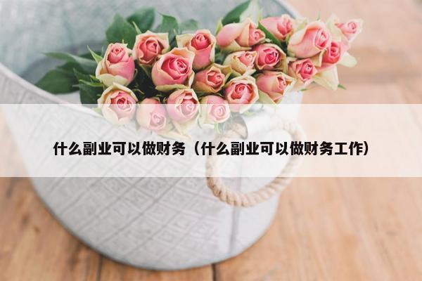 什么副业可以做财务（什么副业可以做财务工作）