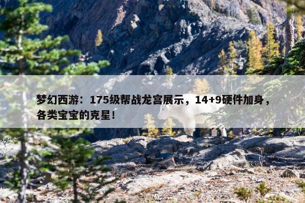 梦幻西游：175级帮战龙宫展示，14+9硬件加身，各类宝宝的克星！