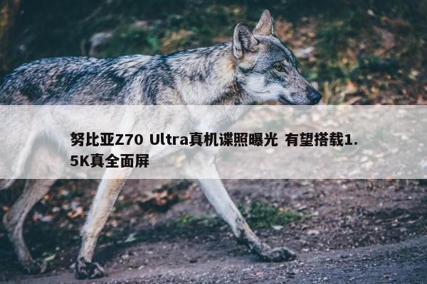 努比亚Z70 Ultra真机谍照曝光 有望搭载1.5K真全面屏