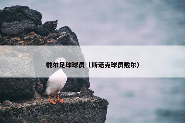 戴尔足球球员（斯诺克球员戴尔）