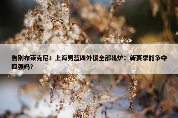 告别布莱克尼！上海男篮四外援全部出炉：新赛季能争夺四强吗？