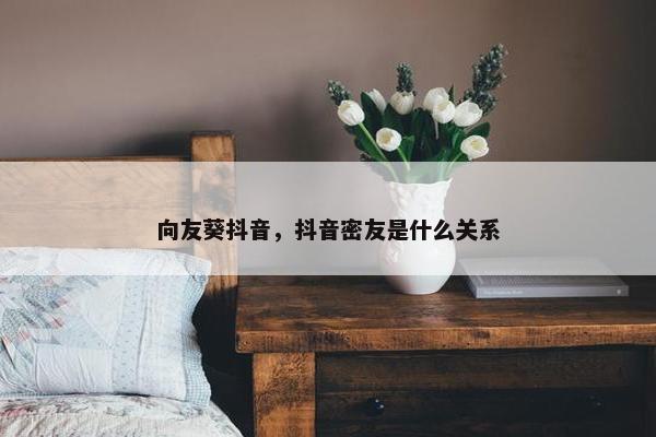 向友葵抖音，抖音密友是什么关系