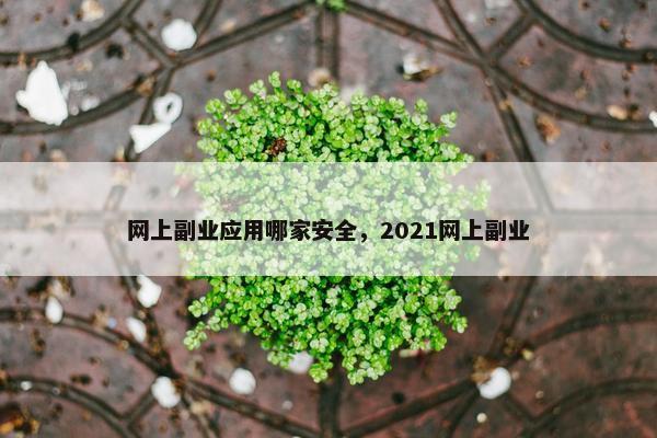 网上副业应用哪家安全，2021网上副业