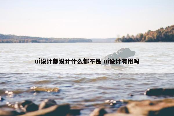 ui设计都设计什么都不是 ui设计有用吗