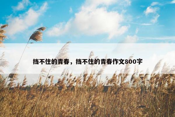 挡不住的青春，挡不住的青春作文800字