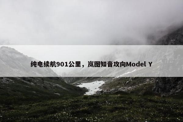 纯电续航901公里，岚图知音攻向Model Y