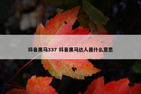 抖音黑马337 抖音黑马达人是什么意思