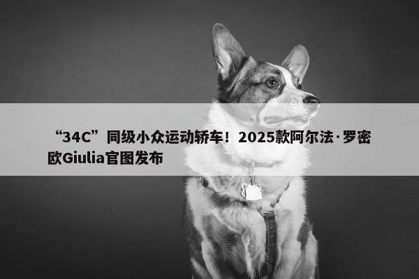 “34C”同级小众运动轿车！2025款阿尔法·罗密欧Giulia官图发布