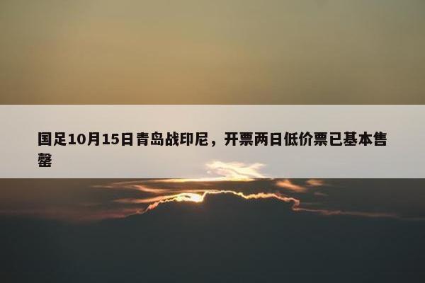 国足10月15日青岛战印尼，开票两日低价票已基本售罄