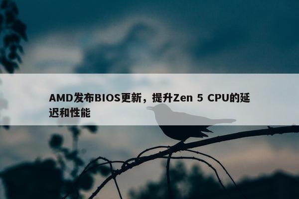 AMD发布BIOS更新，提升Zen 5 CPU的延迟和性能