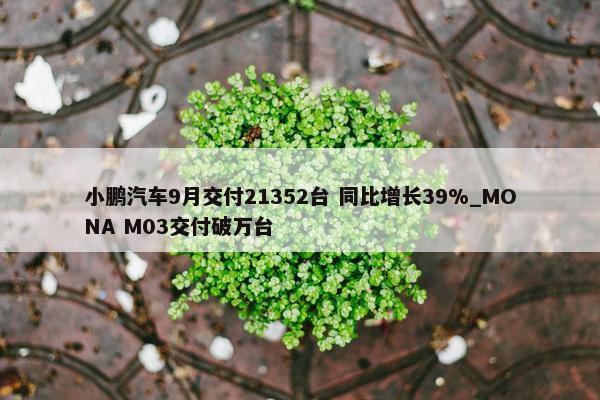 小鹏汽车9月交付21352台 同比增长39%_MONA M03交付破万台