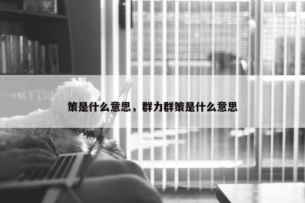 策是什么意思，群力群策是什么意思