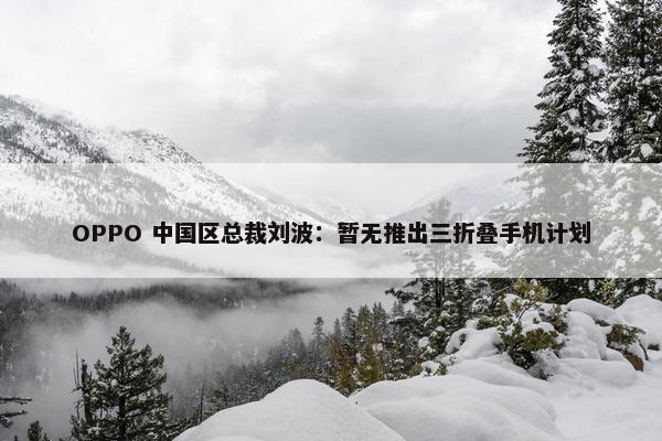 OPPO 中国区总裁刘波：暂无推出三折叠手机计划