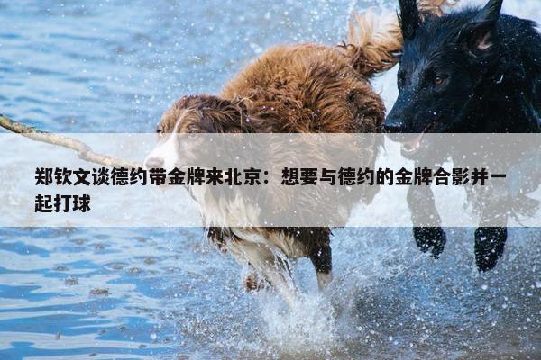 郑钦文谈德约带金牌来北京：想要与德约的金牌合影并一起打球