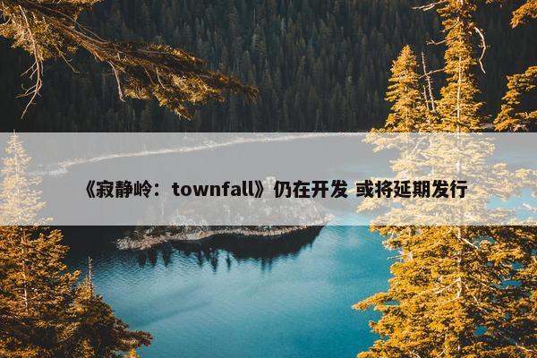 《寂静岭：townfall》仍在开发 或将延期发行