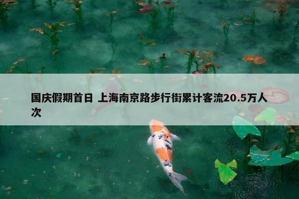 国庆假期首日 上海南京路步行街累计客流20.5万人次