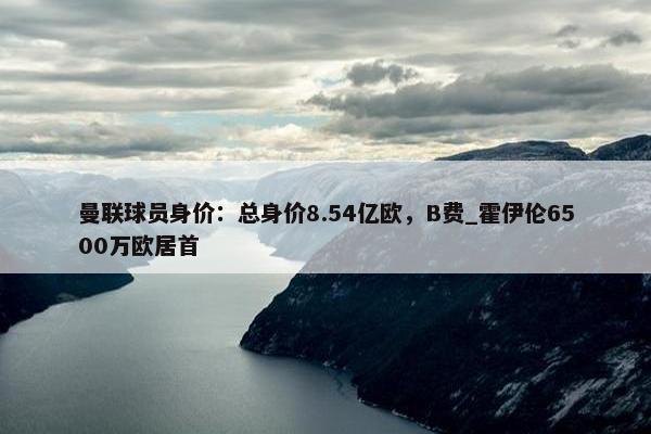 曼联球员身价：总身价8.54亿欧，B费_霍伊伦6500万欧居首