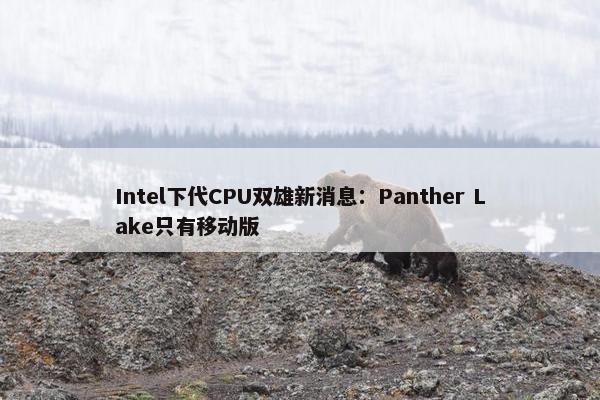 Intel下代CPU双雄新消息：Panther Lake只有移动版