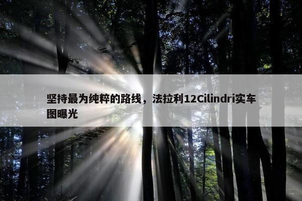 坚持最为纯粹的路线，法拉利12Cilindri实车图曝光